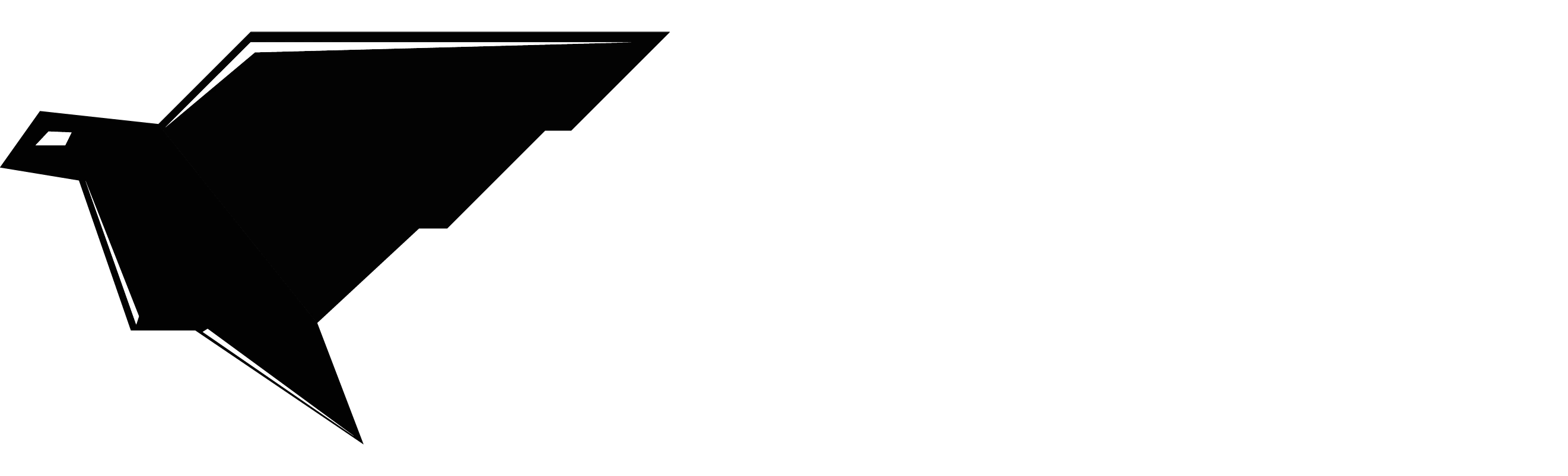 Raven Networks Logo